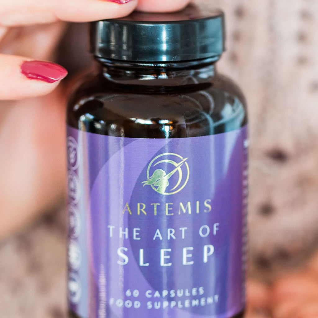 The Art of Sleep